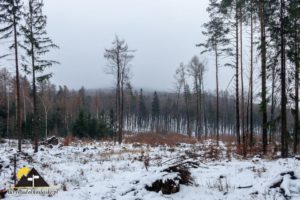 Turystyka zimowa na Dolnym Śląsku